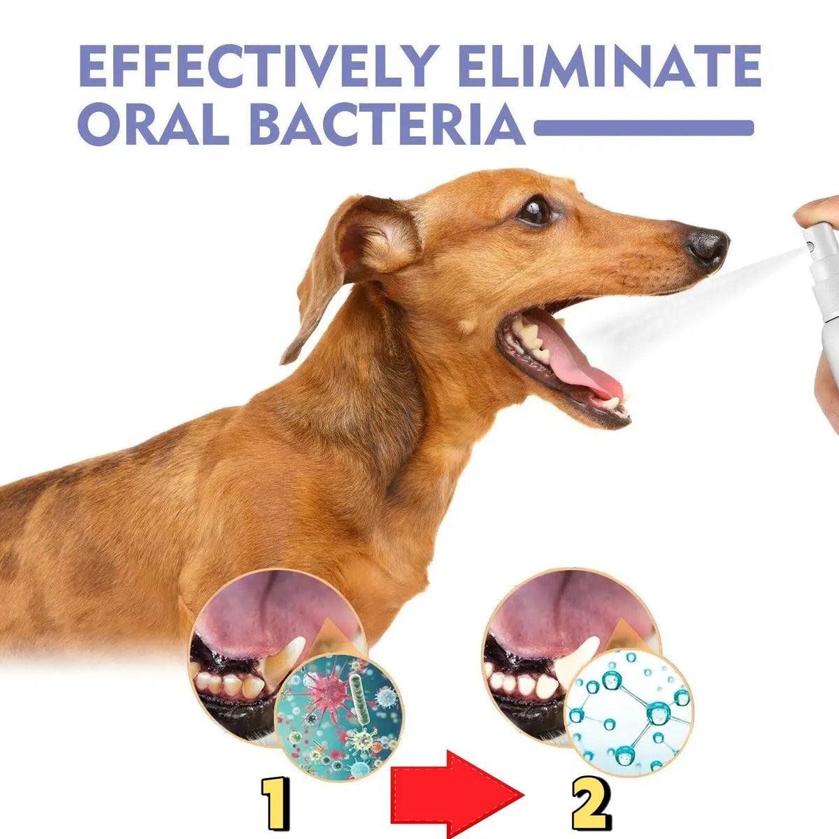Pet Oral Care Spray for Dogs & Cats